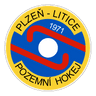 TJ Plzeň-Litice