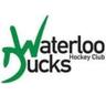Waterloo Ducks HC